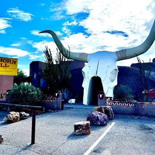 longhorn skull in parking lot