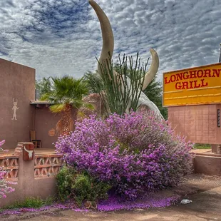 longhorn grill and saloon