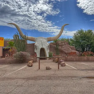 Longhorn