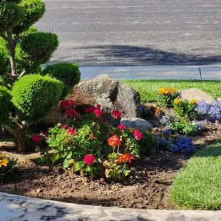 Love the new flowers