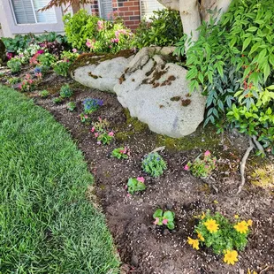 New plants add interest