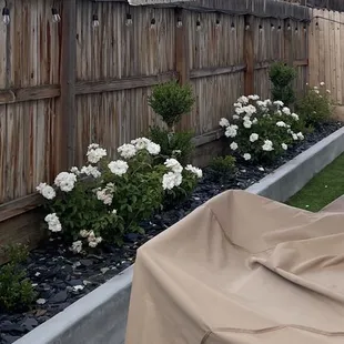 finished retaining wall with variety of bushes, flowers and small trees along with slate chip rocks