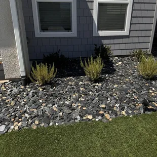 new boxwood bushes and slate chip rocks along front exterior