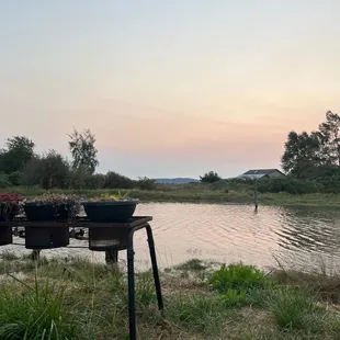 on the slough just outside their fence