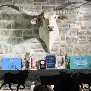 The Longhorn