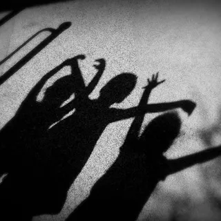 Shadow S.