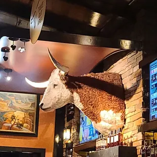 Bar area!