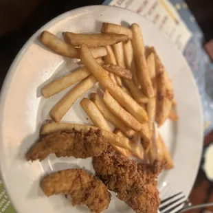 Chicken Tendoes and Fries
