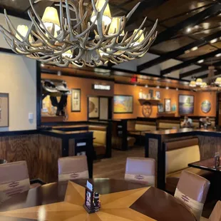 sushi and sashimi, interior