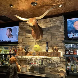 longhorn head on the wall