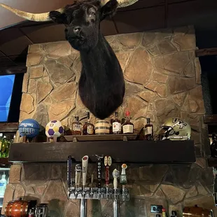 ramen and noodles, interior