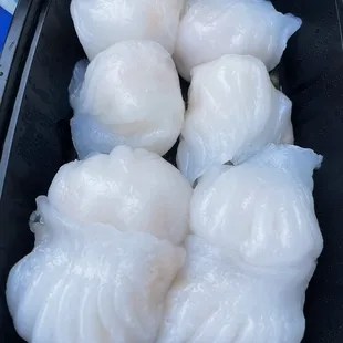 Har Gow