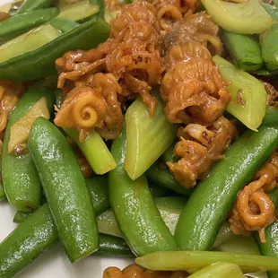 Sea Cucumber Dumplings