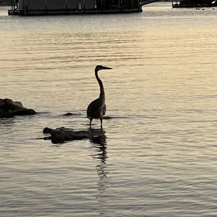 Magical sunsets captured right off your private deck or dock area.