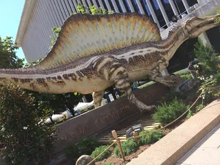 National Geographic Cafeteria