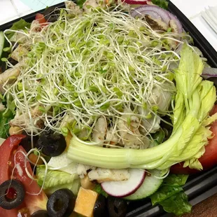 Larger enough to feed two!