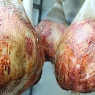 garlic hanging from hooks