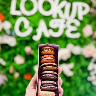 a hand holding a box of macarons