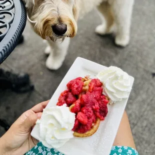 Latte Macchiato and strawberry waffles!