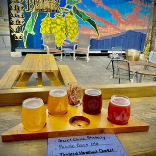 a selection of beers on a picnic table