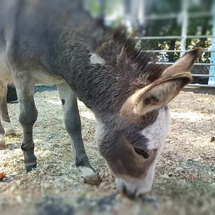 And in the morning...we're making waffles!
