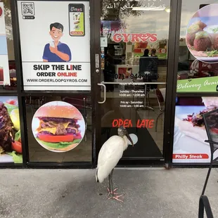 The bird wants one!!!