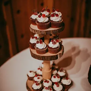 Winter wonderland cupcakes
