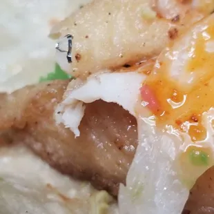 Fish tacos