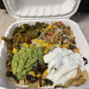 Carne Asada fries