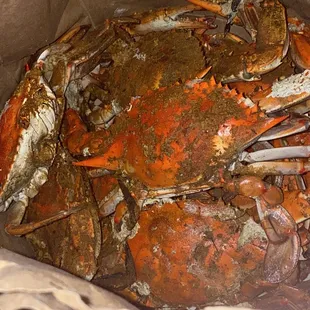 Crabs in the bag