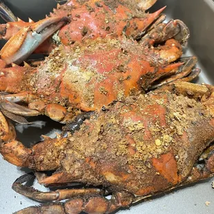 King blue crabs - XL