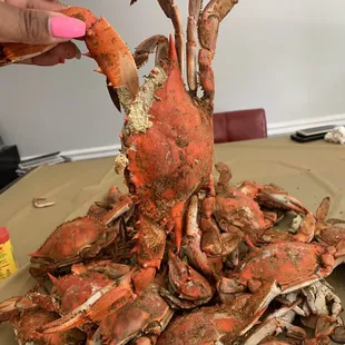 Look how big this is &amp; they're really meaty!