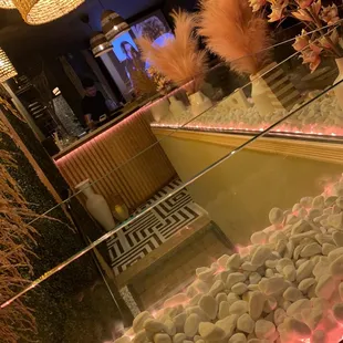 sushi and sashimi, interior