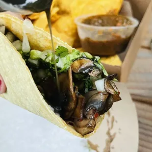 mushroom taco on corn, no cheese, vegan w/ black salsa, bomb.