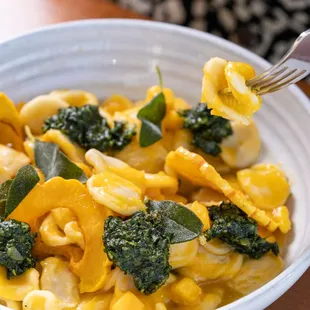 Fresh Orecchiette Pasta