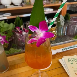 Bird of paradise
