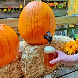 Pumpkin Kegs are carved, tapped and filled with Southern Tier Imperial Pumking Beer and served directly to your table to pour pumkin beer!