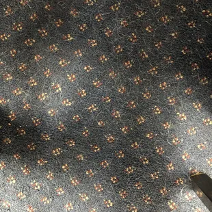 Animal hair all over the carpet. Everywhere I looked this white hair was everywhere.