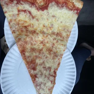 Plain Slice