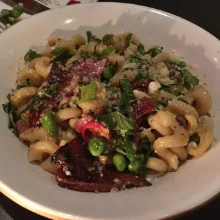 Black Pepper Cavatappi