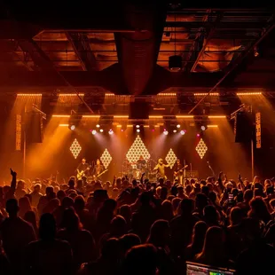 a crowd of people at a concert