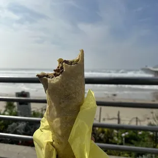 Carne Asada Burrito