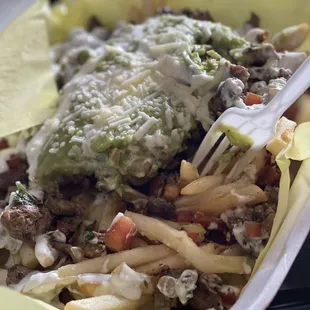 Carne Asada fries