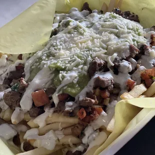 Carne Asada Fries