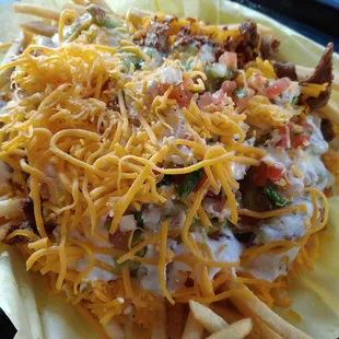 Carne asada fries