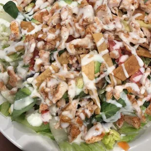 Cocula Salad (pico de Gallo, black beans, avocado, tortilla strips and grilled chicken)