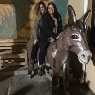 Couldn't resist the donkey...