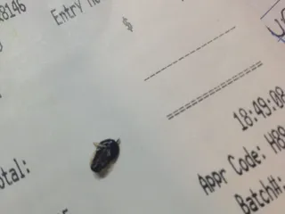 3 Garcia's Mexican & Sea Food Restaurant