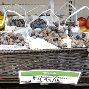 Los Alamos Cooperative Market concord grapes