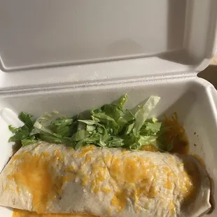 Supposed to be smothered cheese burrito